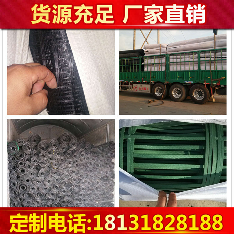 土工格栅1