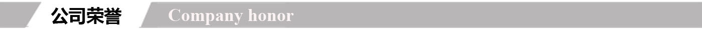 公司荣誉