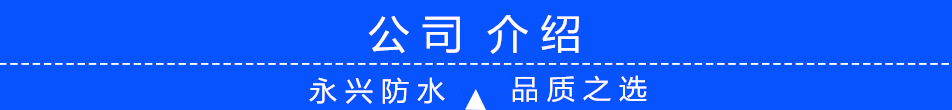 公司介绍