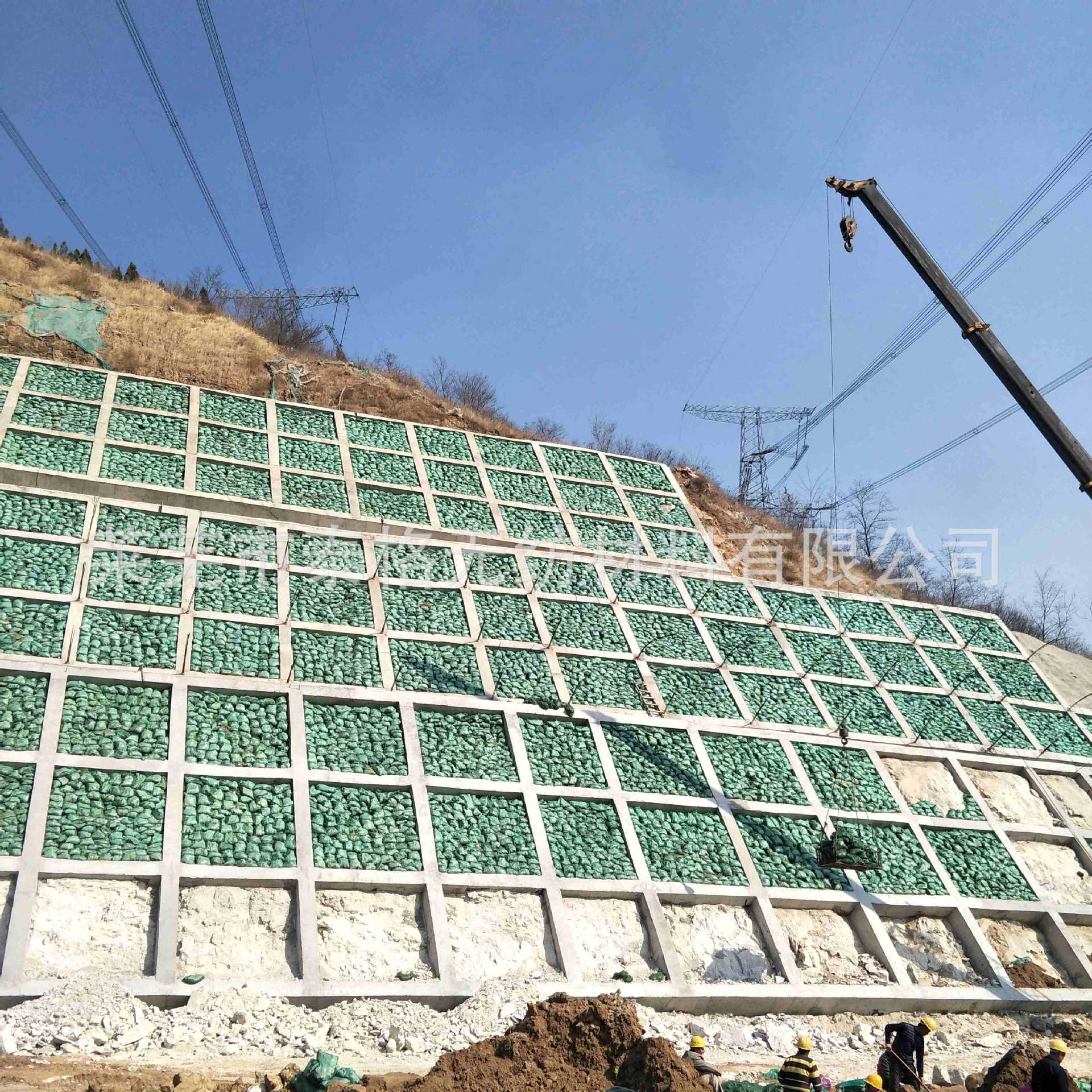 IMG20190316142258_副本