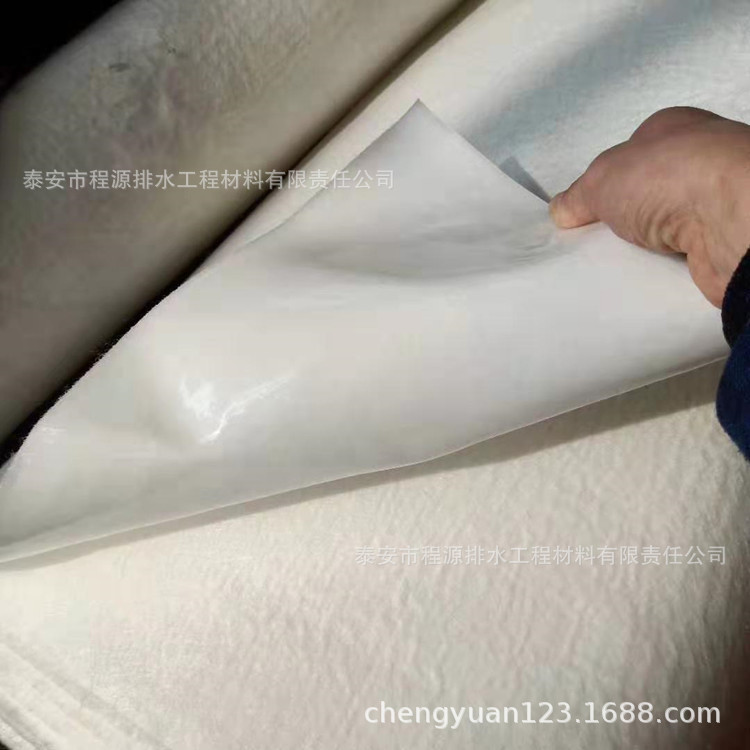 现货！复合土工膜 人工湖防渗复合膜 500g复合土工膜供应