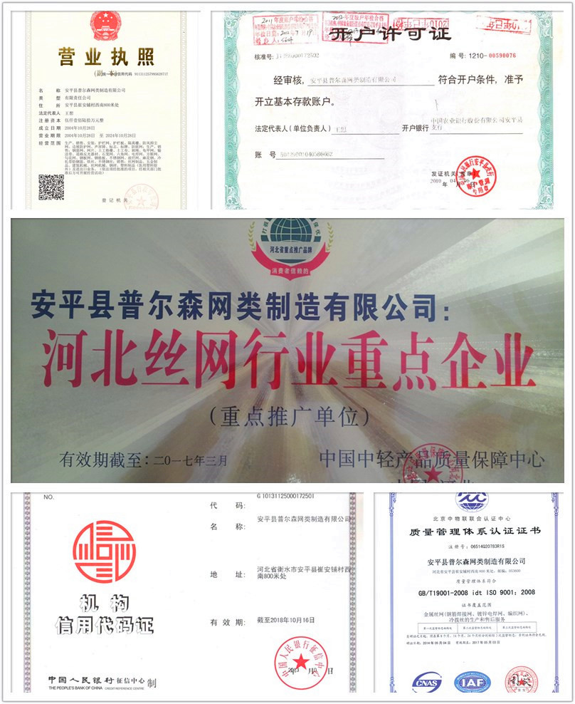 公司从业资格及实力