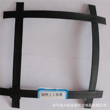 厂家批发防护隔离网钢塑土工格栅堤坝和路基的基础建设