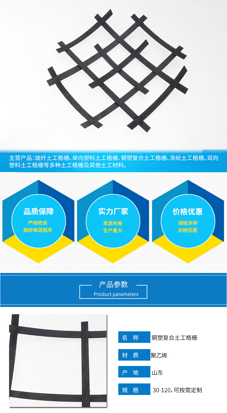 钢塑复合土工格栅_01.jpg