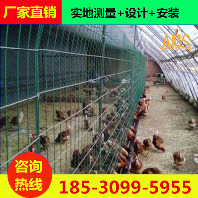 定制养鸡圈地围栏网生产厂家铁丝荷兰网绿色养殖防护公路围网定制