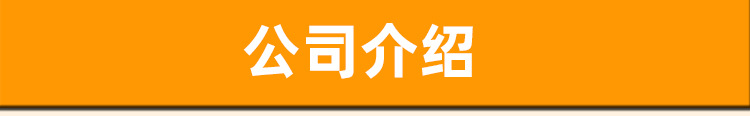 公司介绍