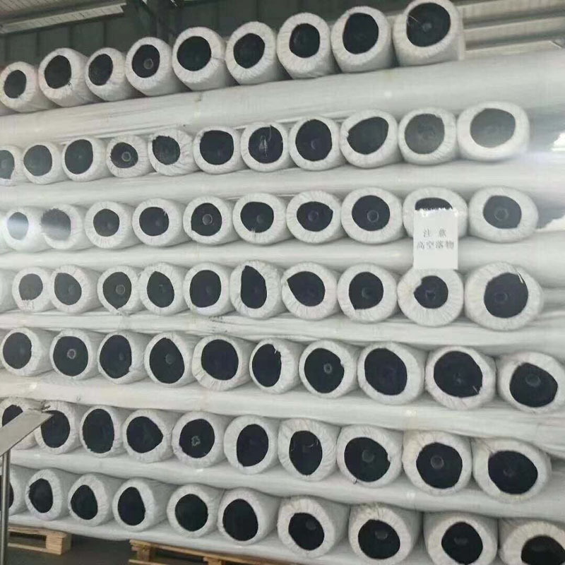 EVA土工膜.jpg