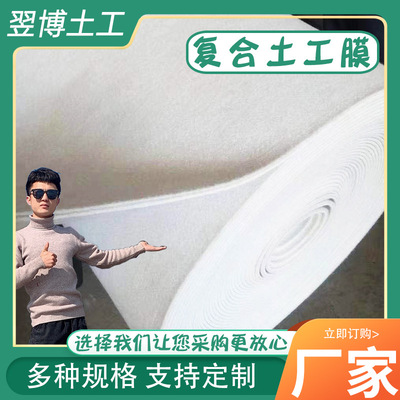 厂家定制防渗膜水产养殖防渗土工膜藕池沼气池黑色土工布土工膜