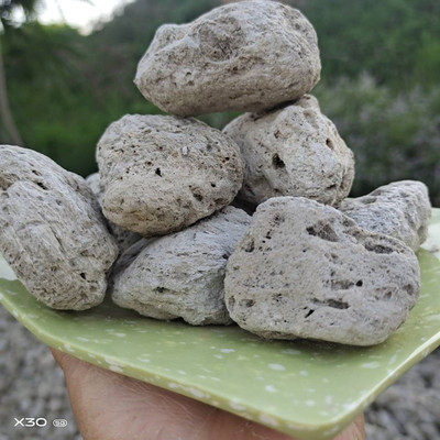 厂家供应园艺浮石 水处理轻石5-20cm 浮石火山石 大块白色浮石