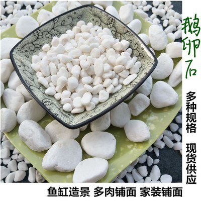 厂家供应鹅卵石 机制白色鹅卵石 水磨石 白色石子 鹅卵石