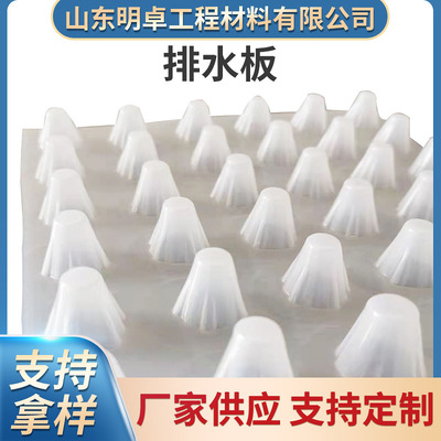 多规格批发塑料排水板凹凸型疏水滤水板HDPE地下室车库绿化排水板