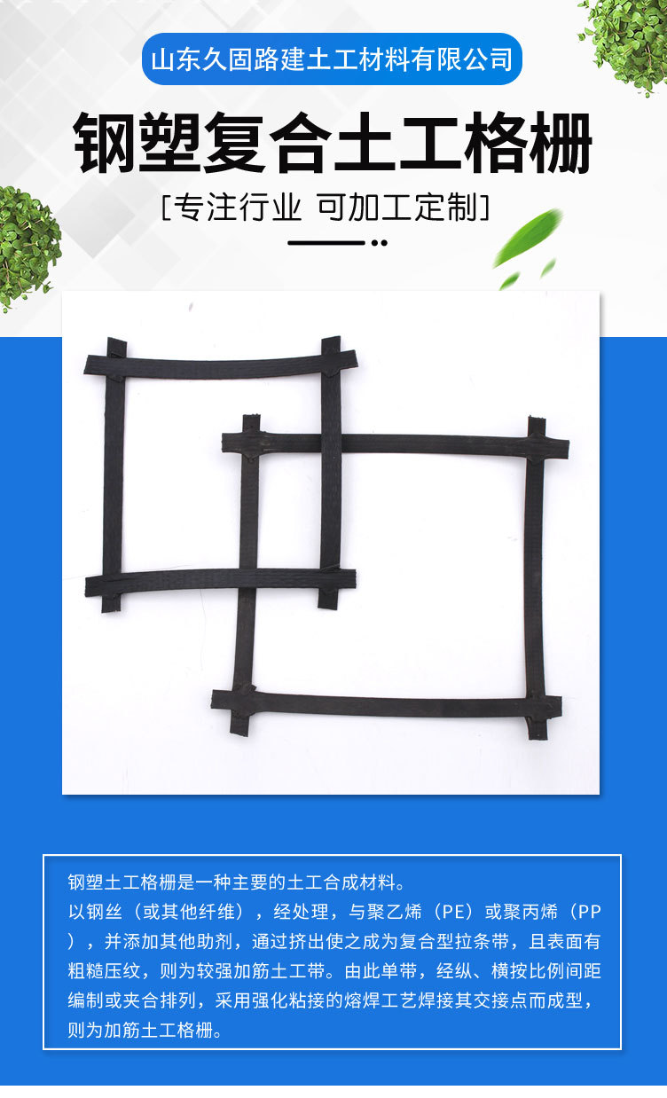 钢塑土工格栅-副本_01.jpg