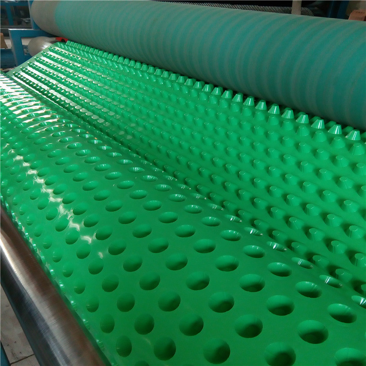 【排水板】塑料排水板HDPE车库疏水板 蓄水板屋顶绿化 排水板厂家