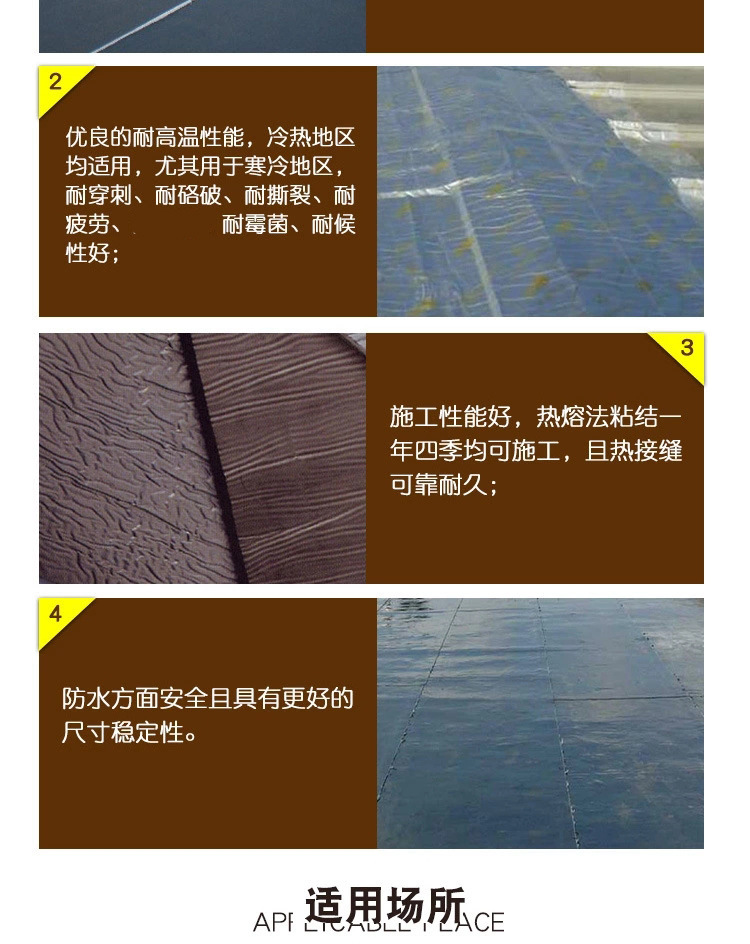 17205235405_425992978.jpg_.web