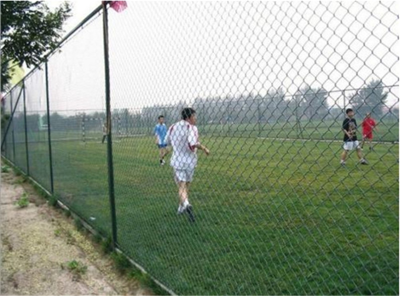 球场围网.jpg