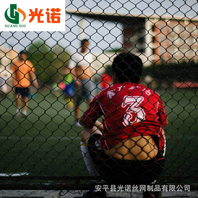 厂家供应体育场围网篮球场足球场勾花护栏网 PE包塑铁丝围栏网