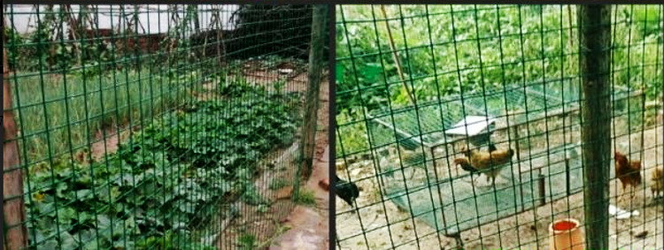 ae2e4be2bf11037a519b609eed7bea