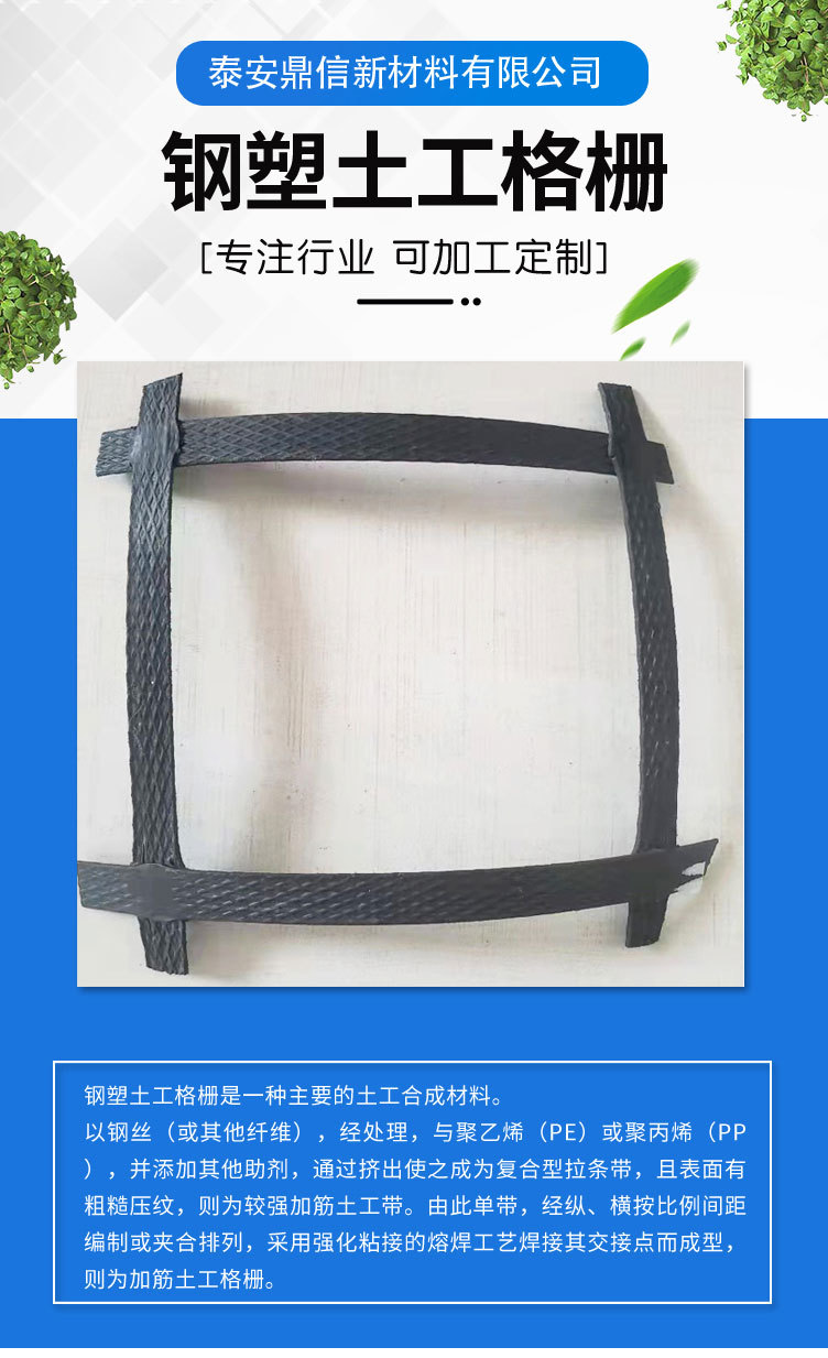 钢塑土工格栅-副本_01.jpg