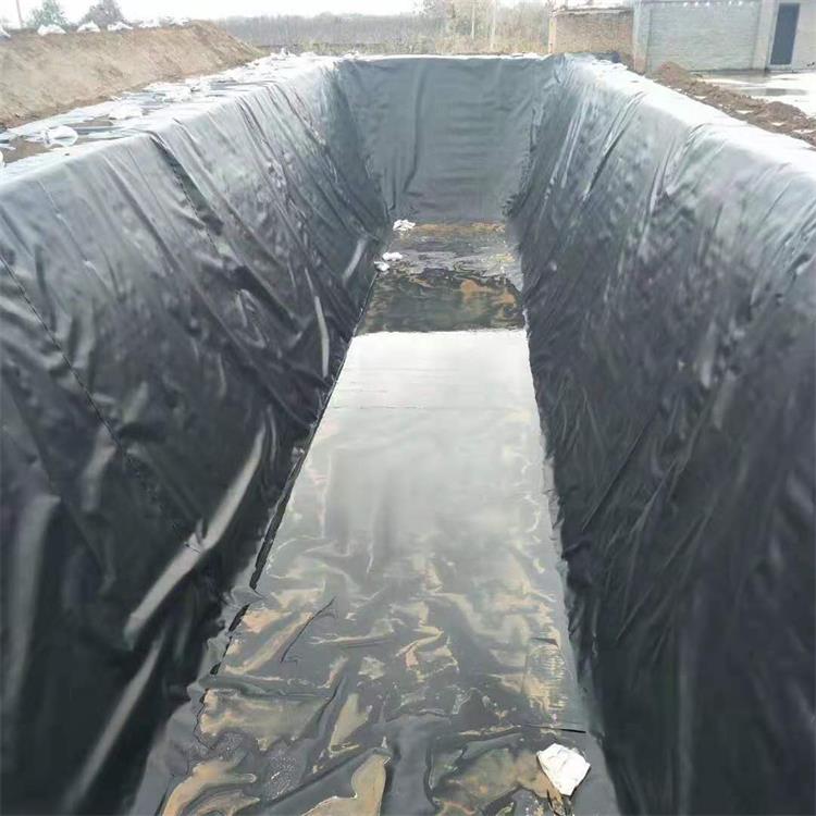 广安土工膜 白色透明土工膜 规格齐全