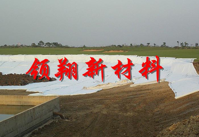 复合膜