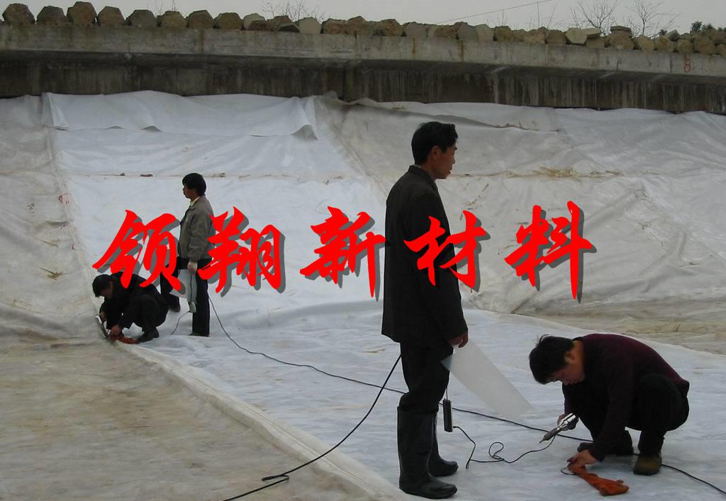 复合膜