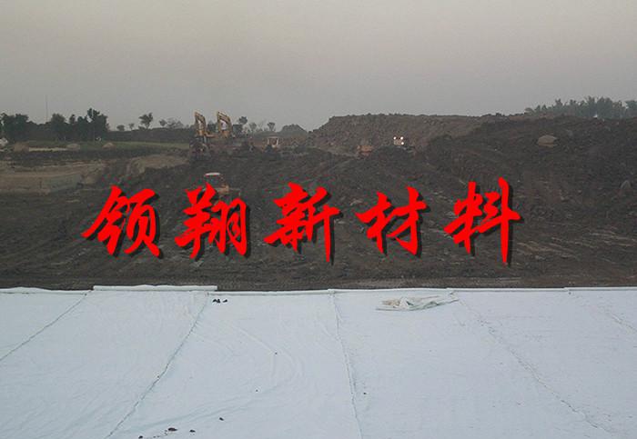 复合膜
