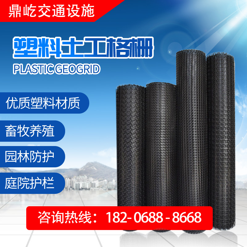 单向塑料网隔离防护网护栏黑色土工胶网现货