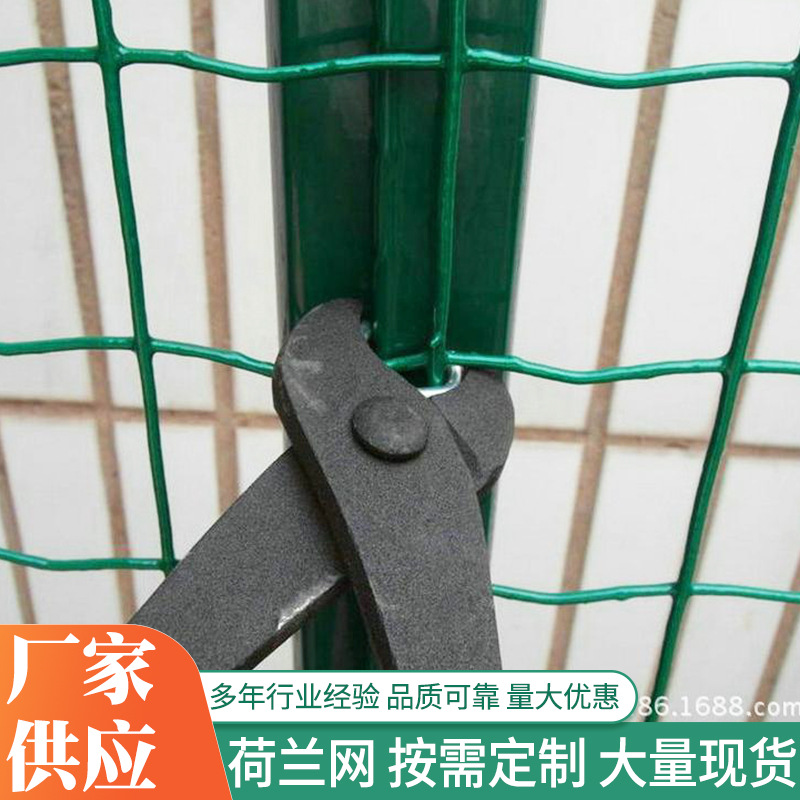 荷兰网养殖果园绿色浸塑荷兰网养鸡防护墨绿色铁丝网护栏网现货