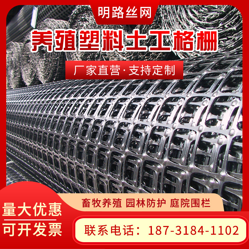 支持定制双向拉伸土工格栅养殖鸡鸭鹅围网 路基绿化用土工格栅