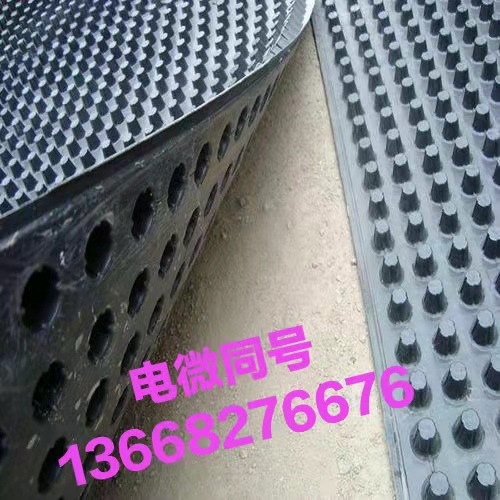 厂家凹凸型PE塑料排水板厂家直发各种型号园林车库绿化排水板