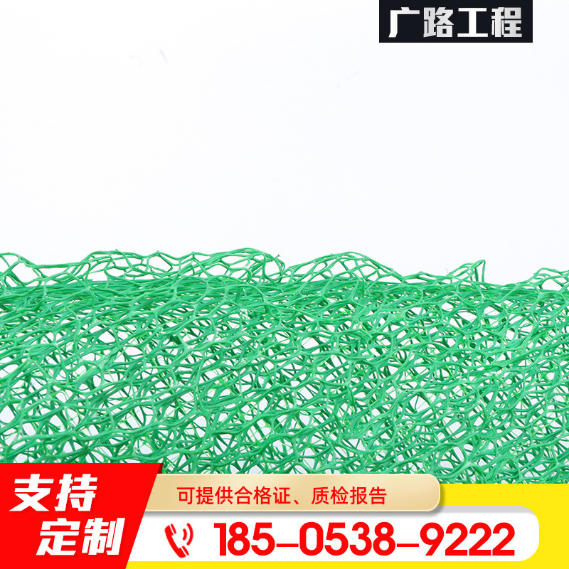塑料三维植被网 植草护土三维网 河道绿化加筋护坡用三维 植被网