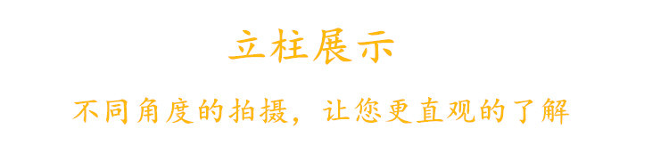 立柱字