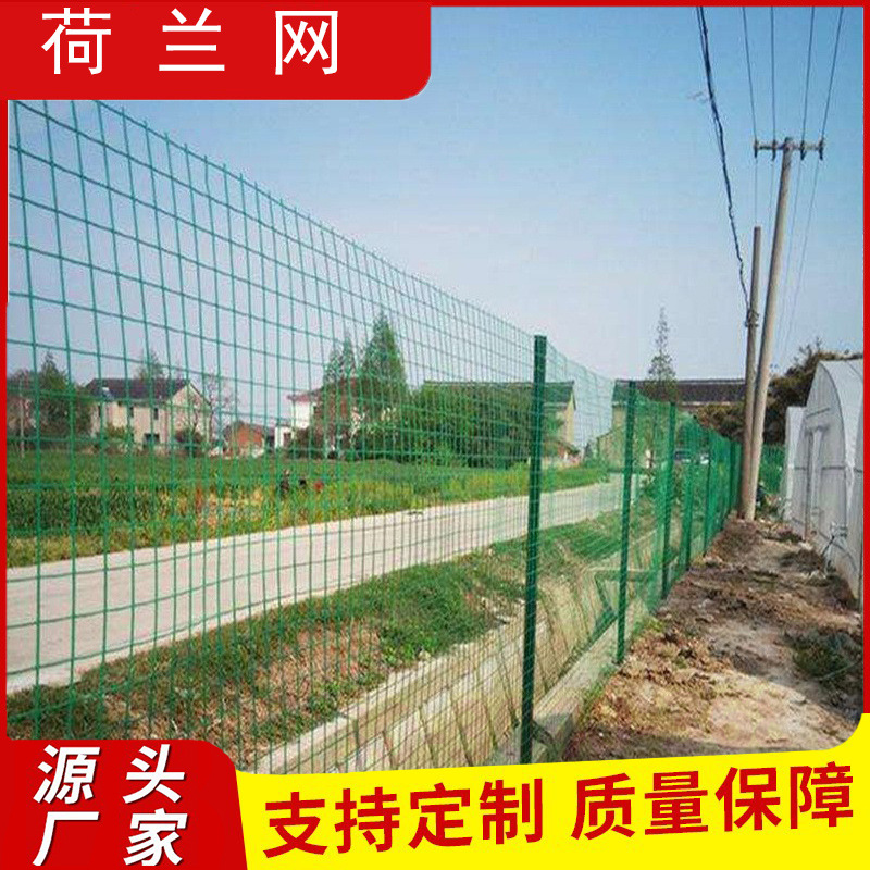 荷兰网硬塑果园围网圈山圈地荷兰网圈鱼塘用网养鸡网绿化围栏农用