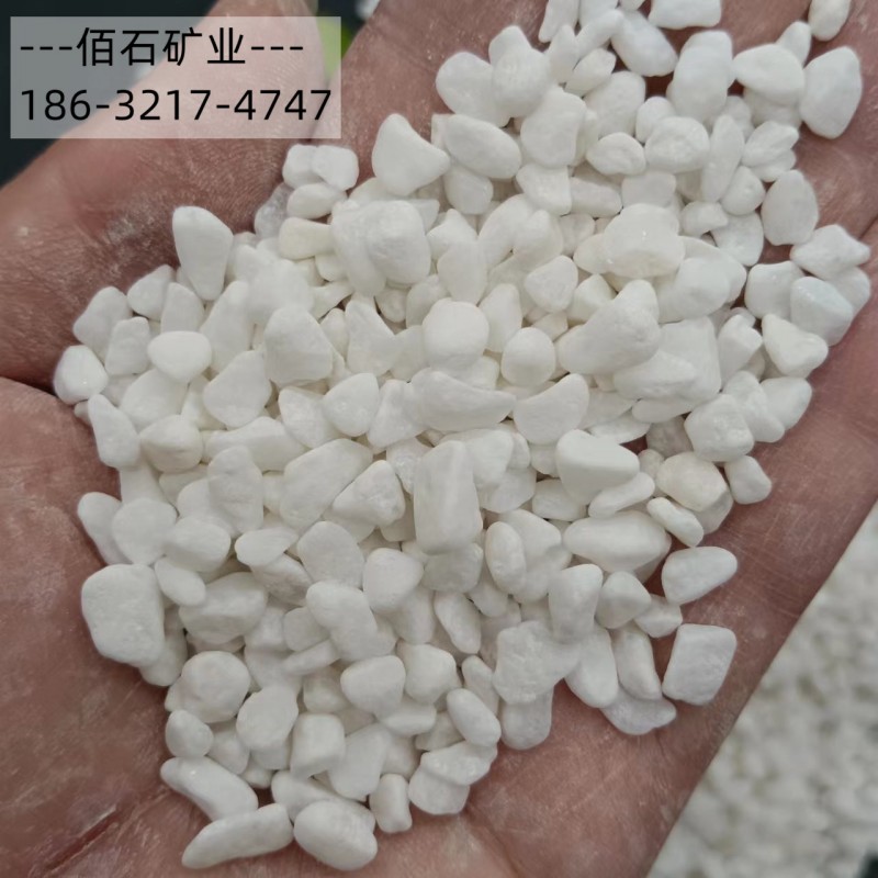 白石子 白色洗米石厂家批发水磨石地面 墙面装饰用白卵石白色砾石